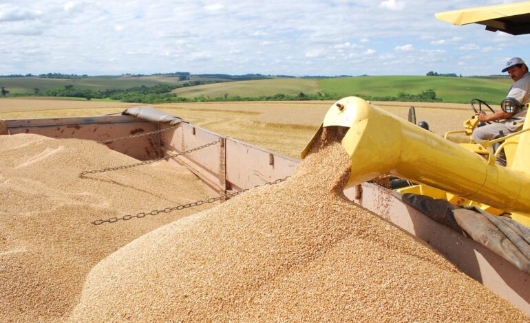 Produção de grãos no país pode chegar a 322,4 milhões de toneladas na safra 2024/25, estima Conab
