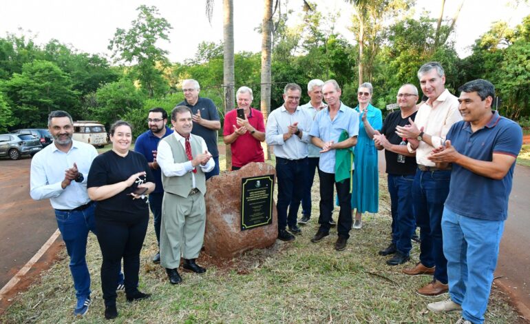 Acesso asfáltico ao Parque das Oliveiras e videomonitoramento são inaugurados