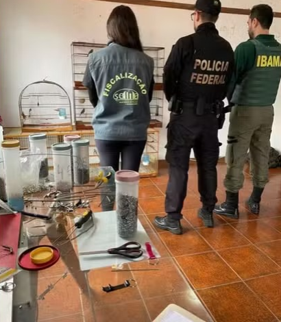 Servidores do Ibama são afastados por suspeita de desvio de aves em recuperação para criadores