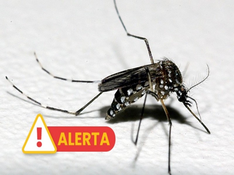 RS registra terceira morte por dengue e primeira por chikungunya em 2025