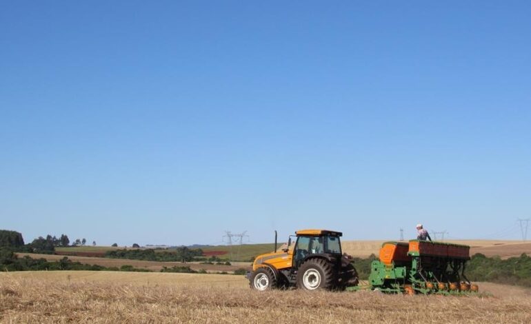 Média de produtividade da soja ficou em 20 a 25 sacas por hectare em Santo Ângelo