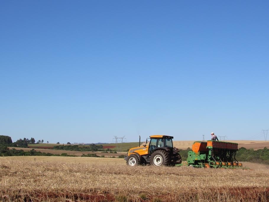 Média de produtividade da soja ficou em 20 a 25 sacas por hectare em Santo Ângelo