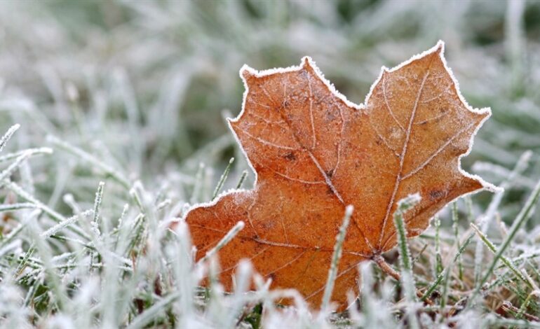 Intensa onda de frio segue até início de junho