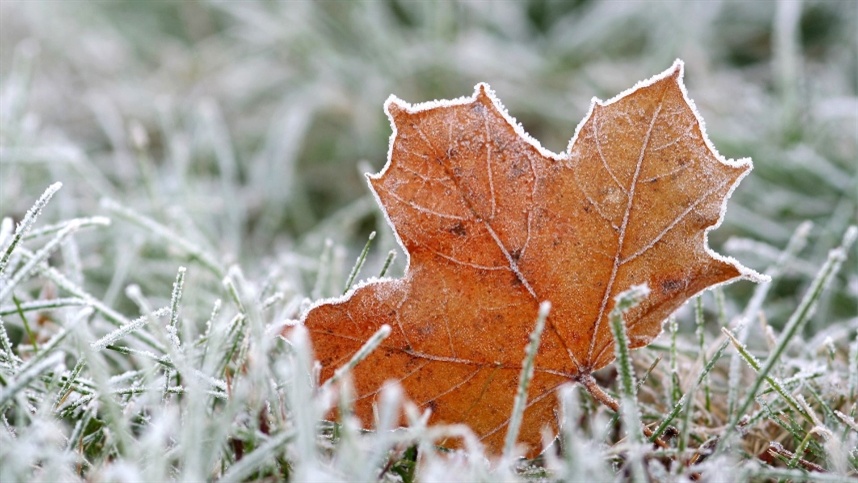 Intensa onda de frio segue até início de junho