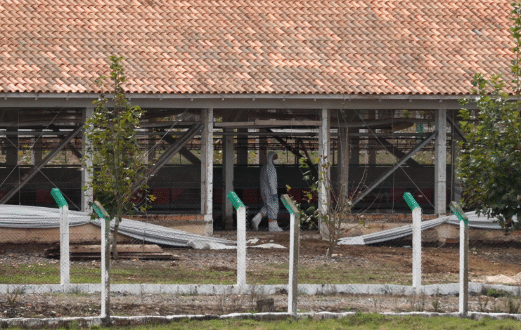 Ovos fornecidos por granja contaminada foram rastreados no RS
