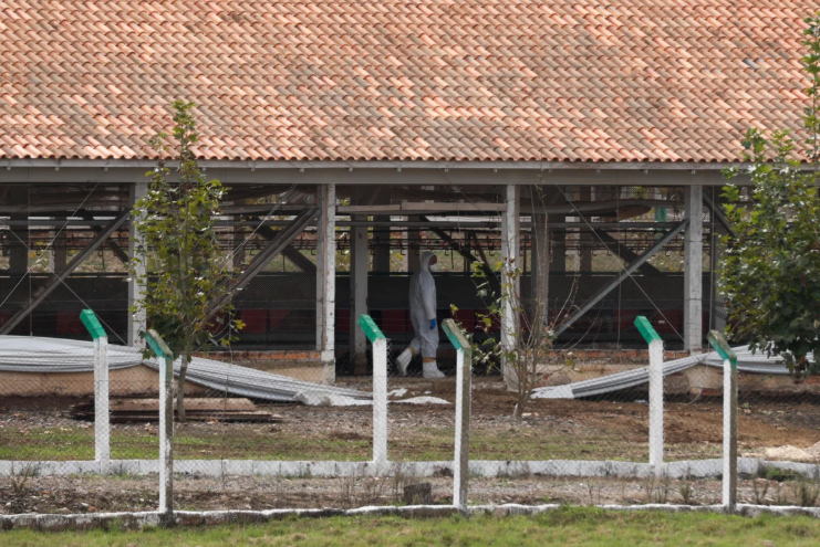Ovos fornecidos por granja contaminada foram rastreados no RS