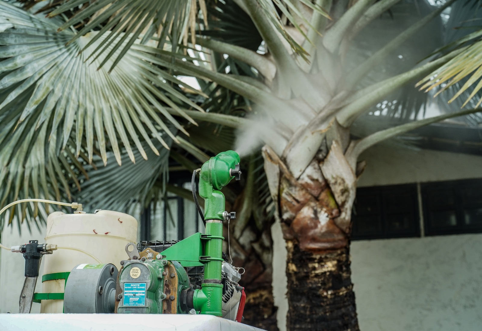 Aumento dos casos de dengue e chikungunya na região preocupam