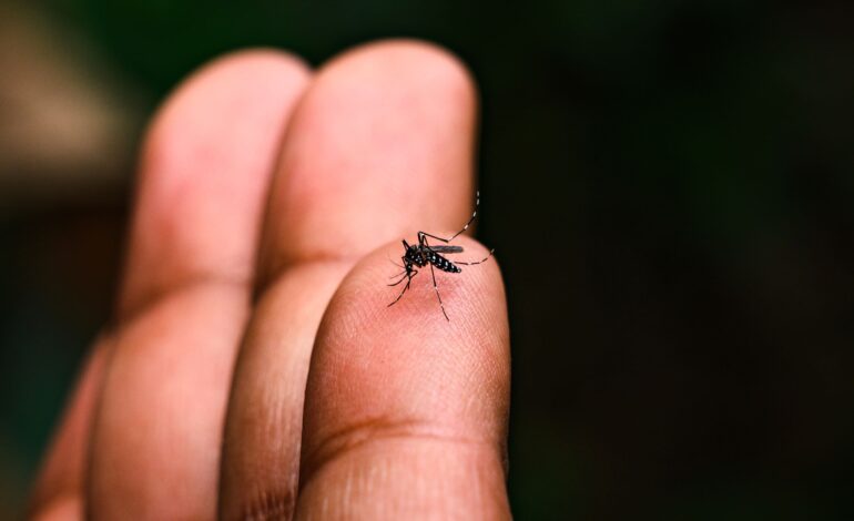 Região tem 159 casos de dengue confirmados