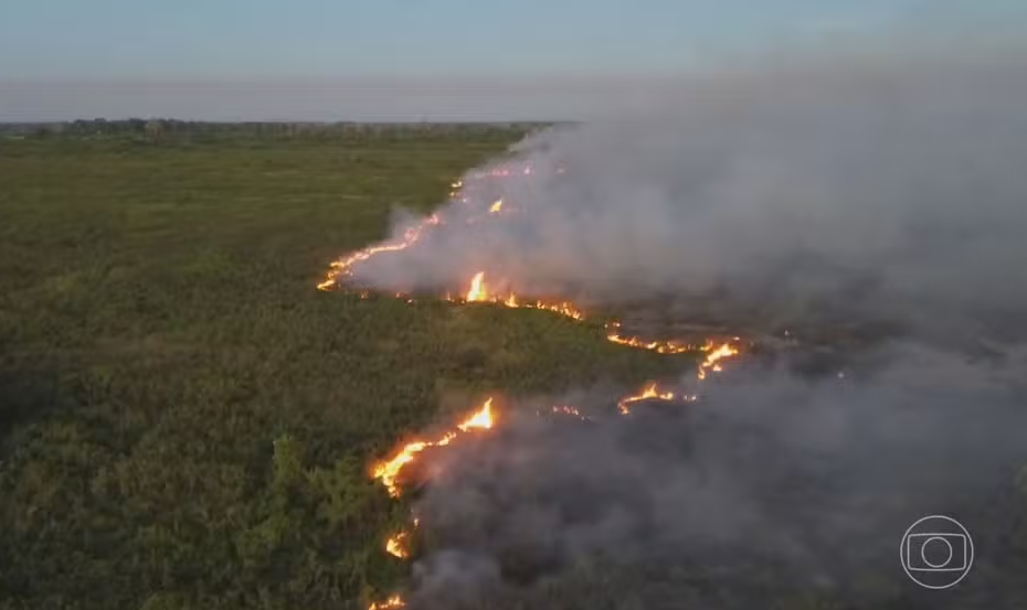 Fogo no Pantanal consumiu área de 90 mil campos de futebol nos últimos 40 anos
