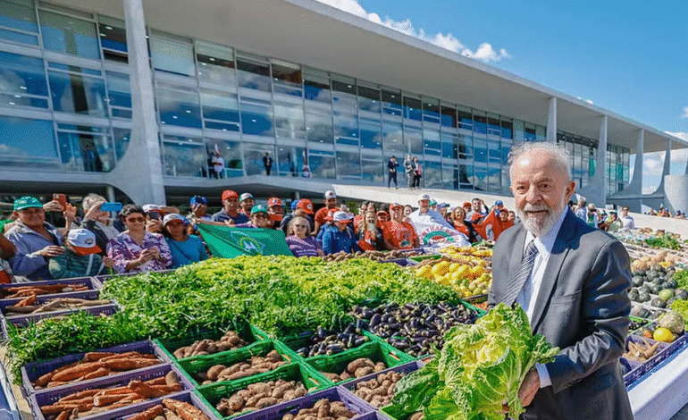 Plano Safra da agricultura familiar terá R$ 89 bilhões em linhas de crédito