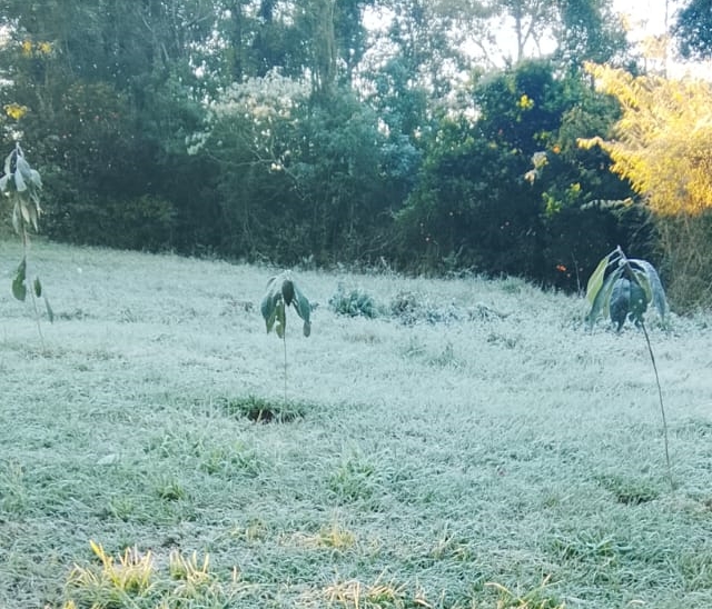 RS registra -7ºC e 35 cidades têm mínimas negativas no início de julho