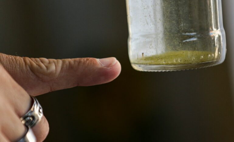 Estado não confirma morte por dengue em Santo Ângelo