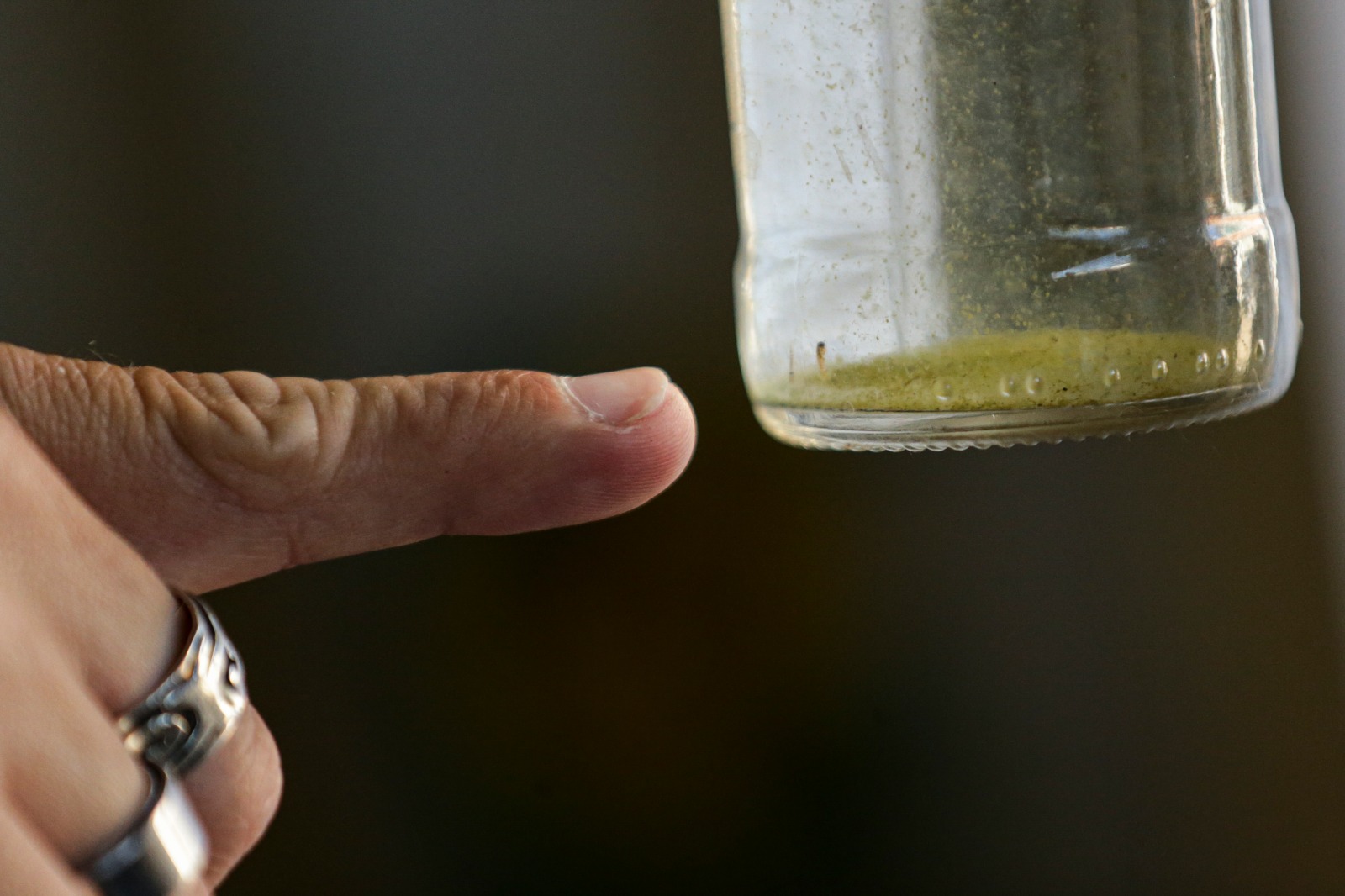 Estado não confirma morte por dengue em Santo Ângelo