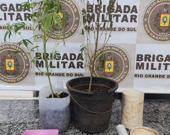 BM apreende adolescente por ato infracional análogo ao tráfico de drogas em Santo Ângelo