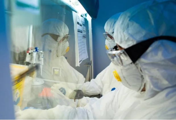 Anvisa autoriza Butantan a testar vacina contra gripe aviária em humanos