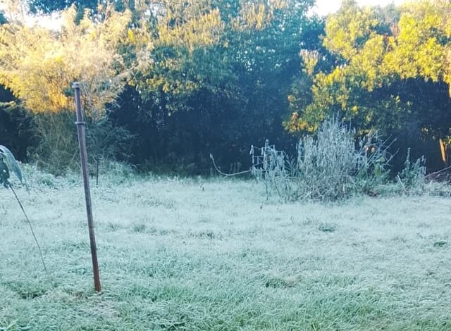 Frio não dá trégua e RS terá amanhecer de até -8ºC nesta quarta