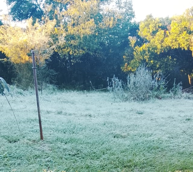 Frio não dá trégua e RS terá amanhecer de até -8ºC nesta quarta