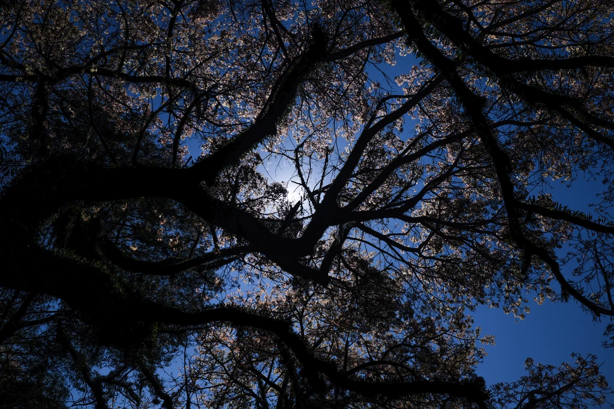 Setembro terá dias mais quentes e risco de chuva forte