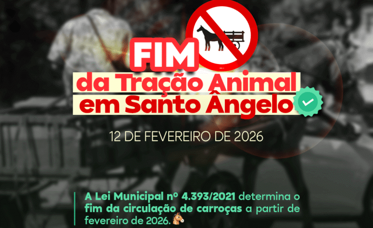 Santo Ângelo inicia cadastramento de carroceiros para transição ao fim da tração animal