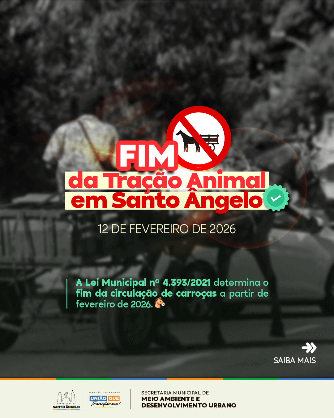 Santo Ângelo inicia cadastramento de carroceiros para transição ao fim da tração animal