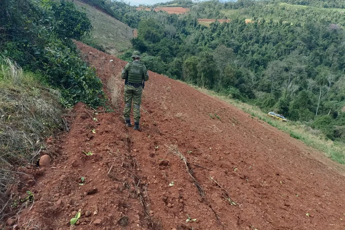 Polícia flagra mais de 100 mil m² de desmatamento no norte do RS