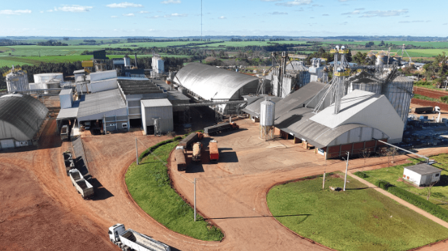 São Luiz Gonzaga inaugura primeira fábrica exclusiva de canola do Brasil