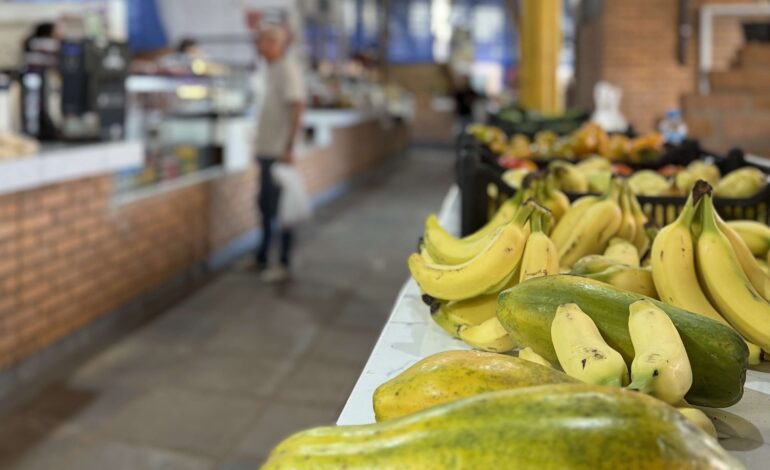 Santo Ângelo promove a 1ª Semana Municipal de Segurança Alimentar e Nutricional em outubro
