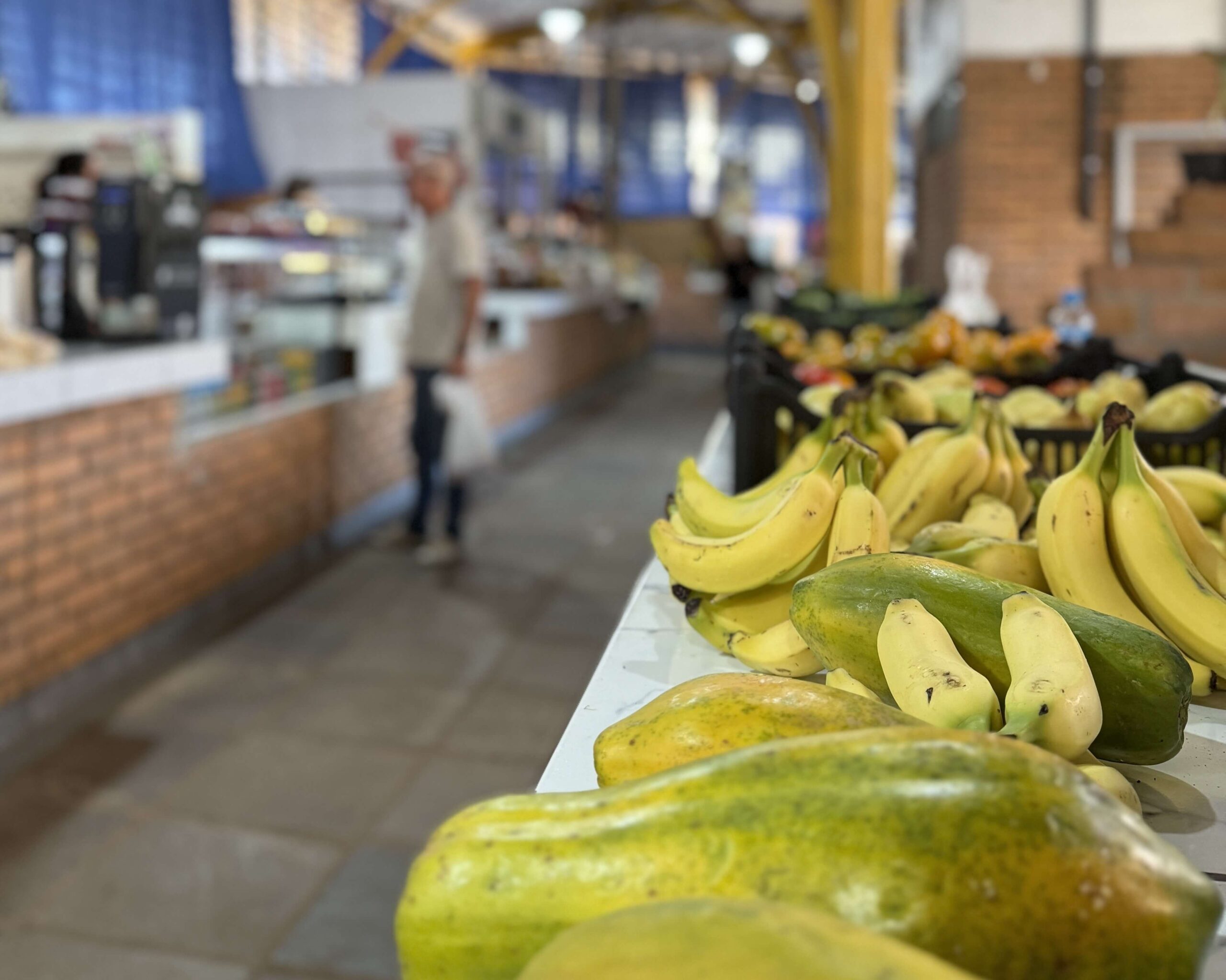 Santo Ângelo promove a 1ª Semana Municipal de Segurança Alimentar e Nutricional em outubro