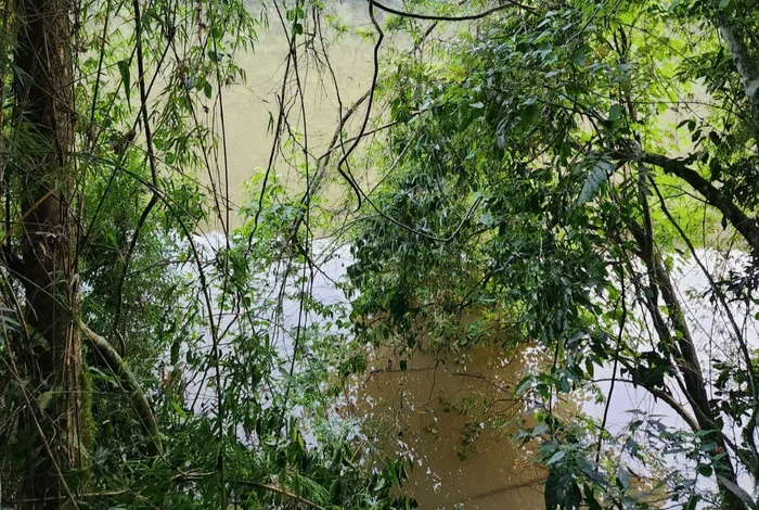 Bombeiros fazem buscas por homem que desapareceu no Rio Passo Fundo, em Faxinalzinho