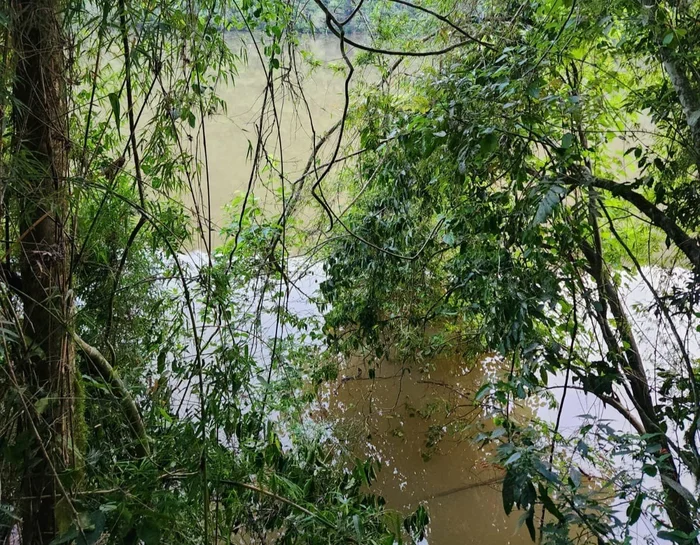 Bombeiros fazem buscas por homem que desapareceu no Rio Passo Fundo, em Faxinalzinho