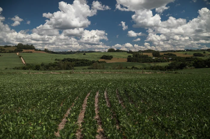 La Niña é confirmado até o verão de 2026 pela Administração Nacional Oceânica e Atmosférica dos Estados Unidos