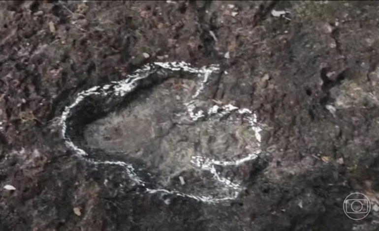 Pesquisadores descobrem pegadas inéditas de dinossauros na Amazônia brasileira