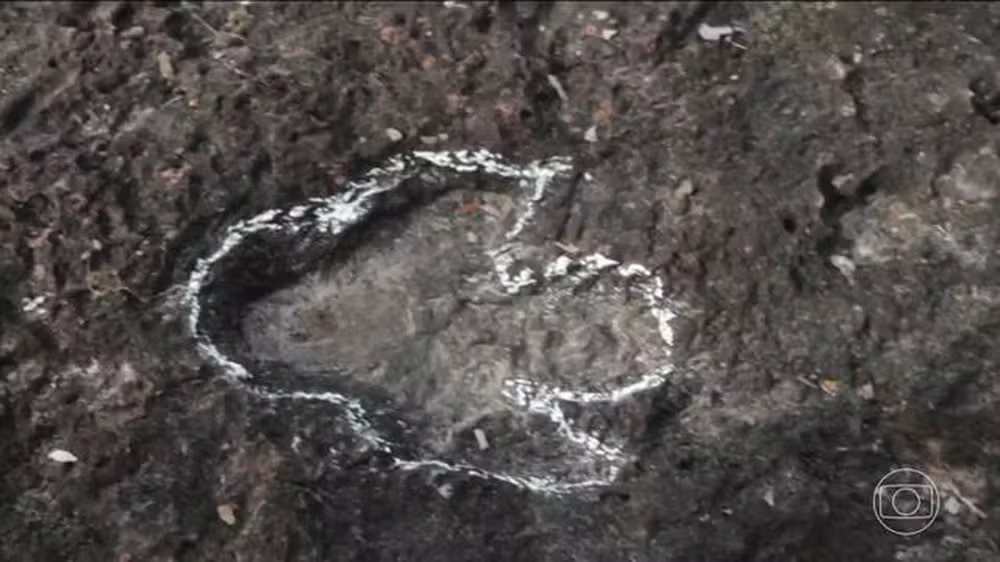 Pesquisadores descobrem pegadas inéditas de dinossauros na Amazônia brasileira