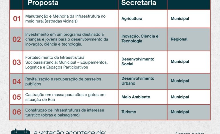 Aberta a votação da consulta popular