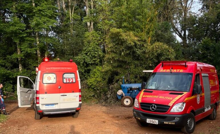 Homem morre com acidente com queda de árvore no interior de Bozano