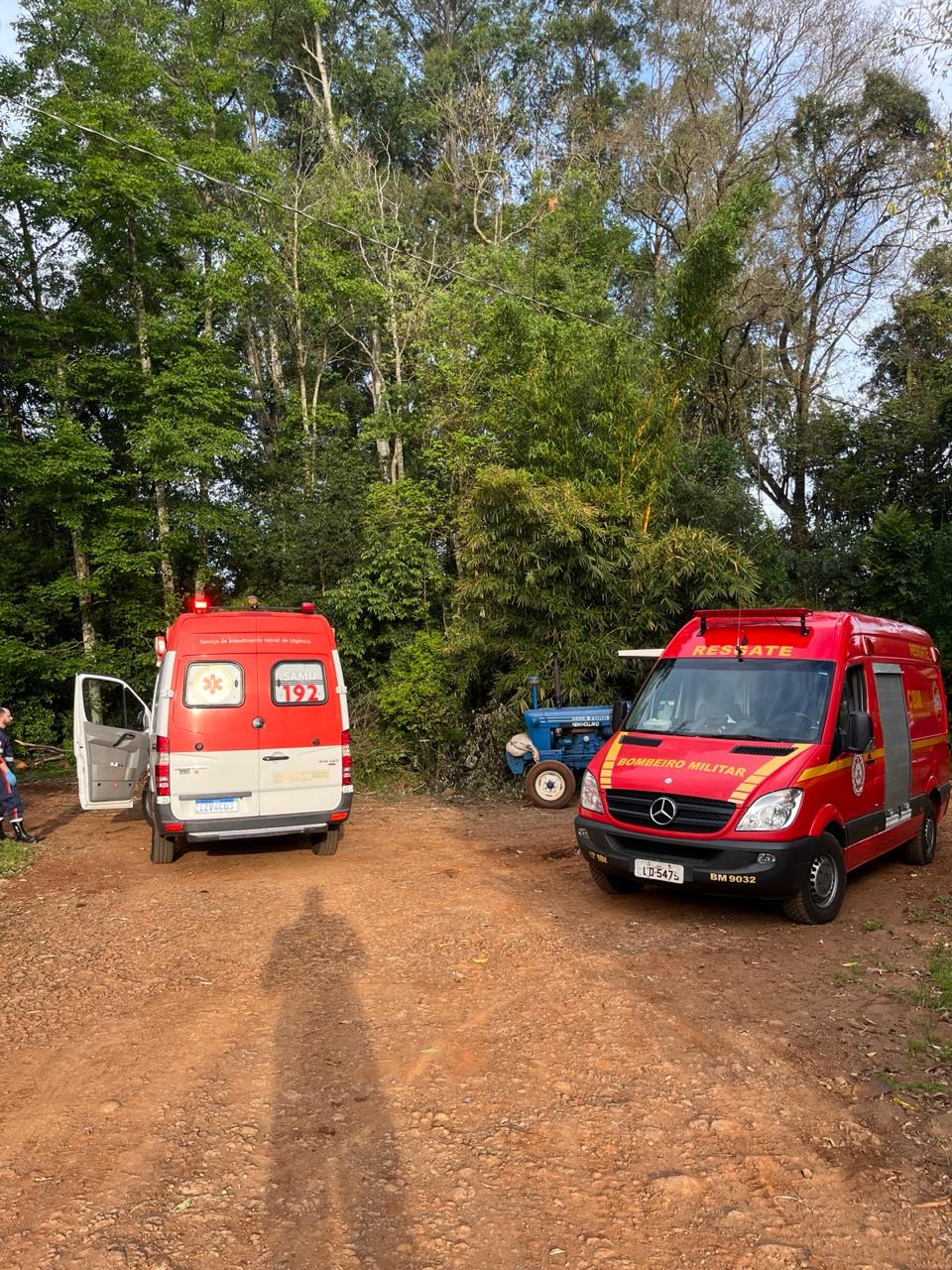 Homem morre com acidente com queda de árvore no interior de Bozano