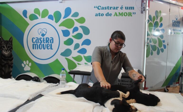 Entre-Ijuís realiza castração gratuita de cães e gatos
