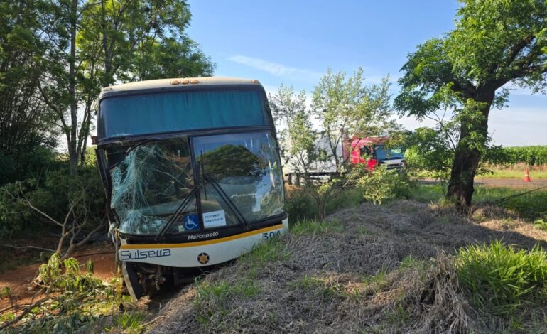 Ônibus da Sulserra sai da pista após colisão com caminhão na ERS-344, em Giruá