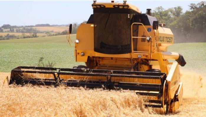 Cerca de 10% das lavouras de trigo já foram colhidas no Rio Grande do Sul