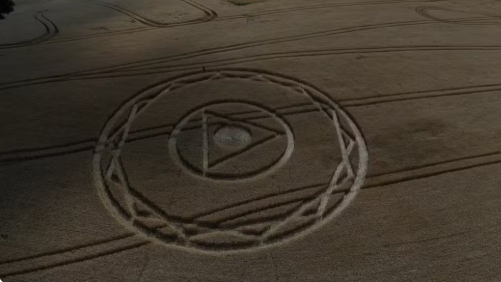 Figura geométrica aparece em plantação de trigo na capital dos agroglifos
