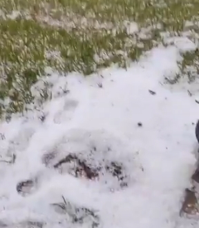 Forte chuva de granizo atinge Mato Rico-PR