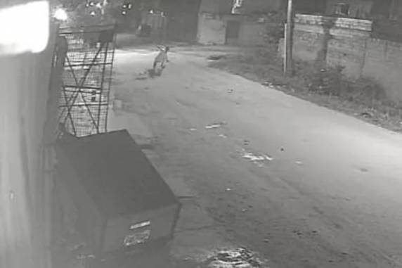 Idoso de 87 anos morre após ser atacado com golpe de voadora em Pelotas