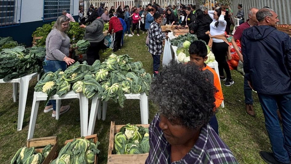 Programa de Aquisição de Alimentos inclui quatro municípios das Missões entre os classificados