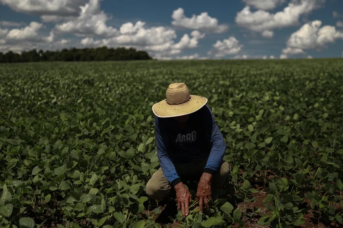 PIB do RS cresce 4,5% no 3º trimestre e supera média nacional