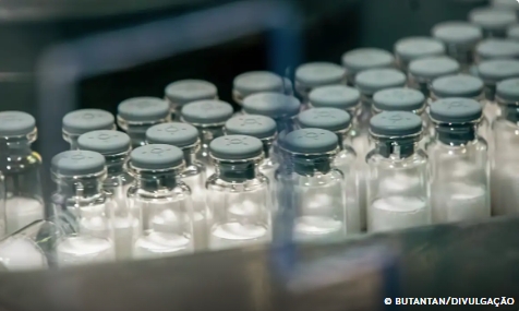 Vacina contra a dengue do Butantan começa a ser aplicada em janeiro
