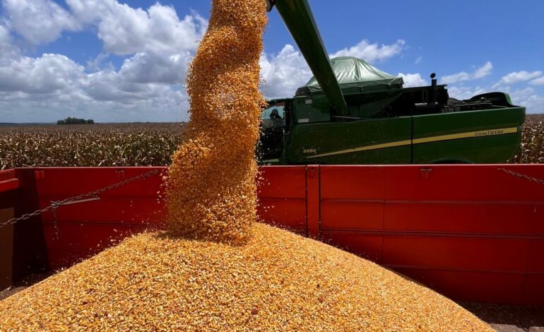 Produtores das Missões iniciam colheita do milho com resultados positivos nas áreas irrigadas