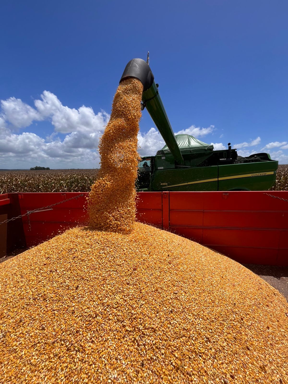 Produtores das Missões iniciam colheita do milho com resultados positivos nas áreas irrigadas