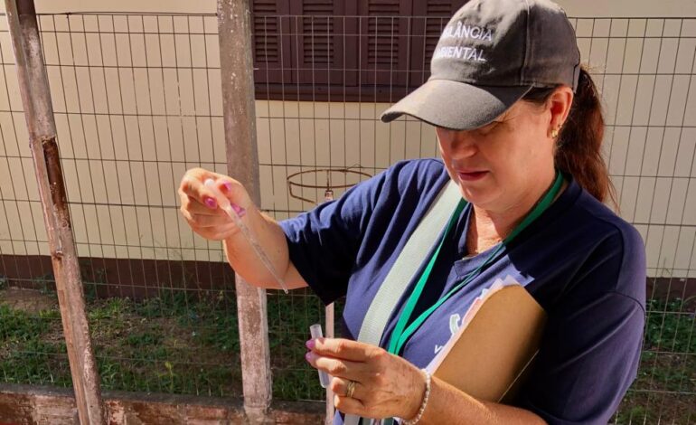 2025 marca queda de 98% nos casos de dengue em Santo Ângelo, mas chuvas frequentes e retorno do calor preocupam a Secretaria de Saúde