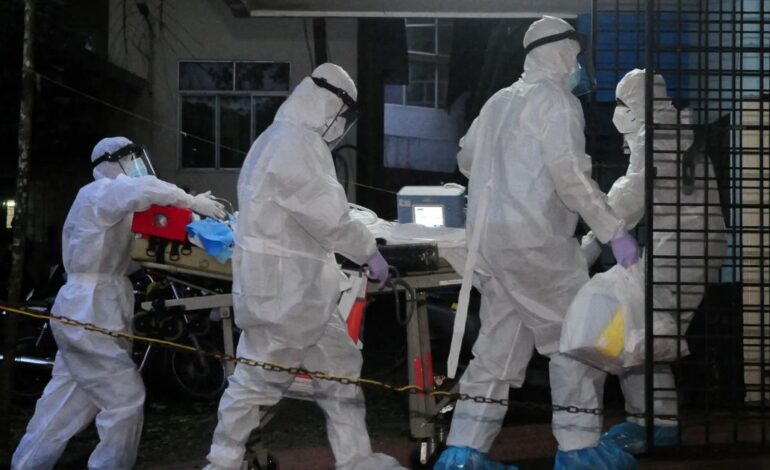 Vírus Nipah: o que se sabe sobre a infecção sem cura identificada na Índia