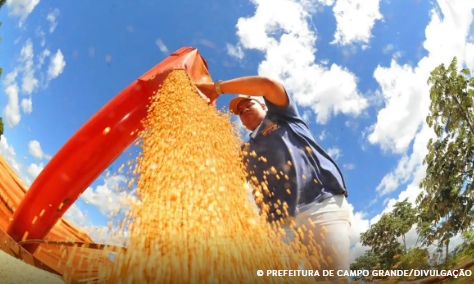 Produção de grãos pode chegar a 353,4 milhões de toneladas